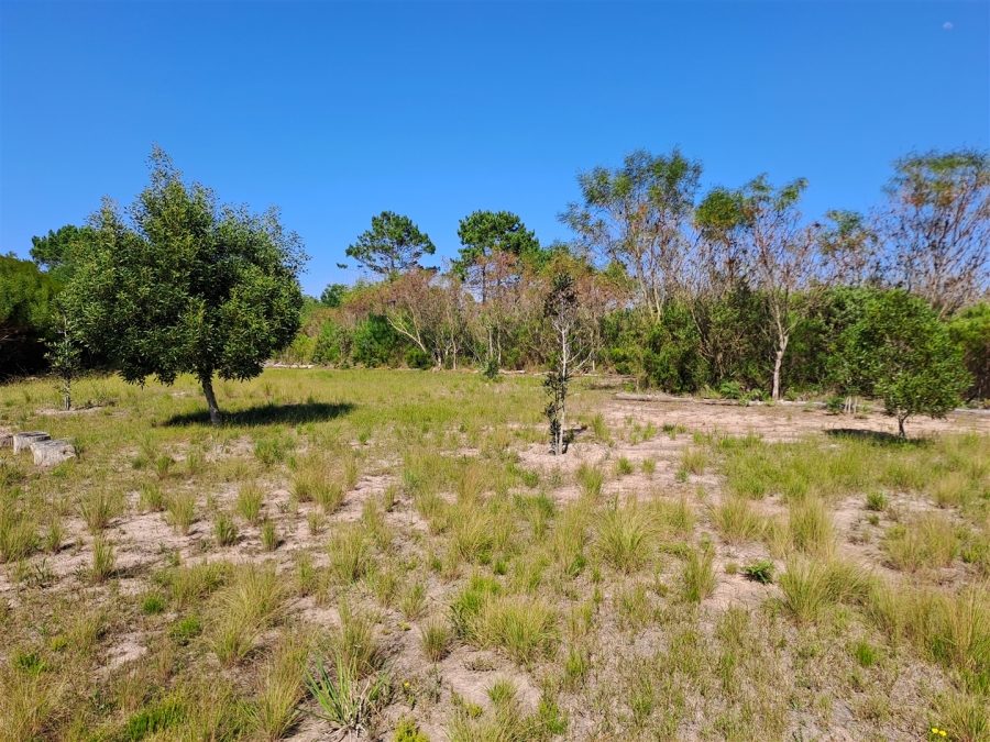 4 Bedroom Property for Sale in Roodefontein AH Western Cape